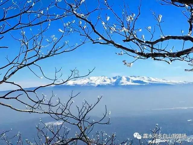 能力提升年丨【通办榜样】打好产业落地组合拳,积蓄昌平发展新动能